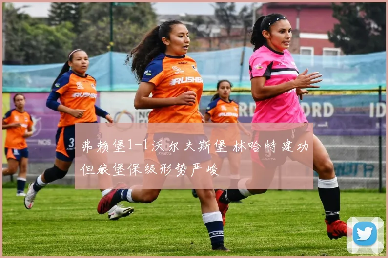 弗赖堡1-1沃尔夫斯堡 林哈特建功但狼堡保级形势严峻