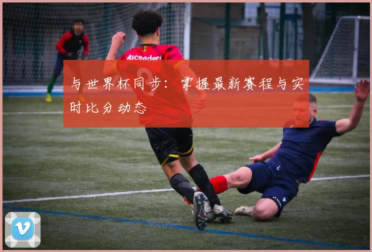 与世界杯同步：掌握最新赛程与实时比分动态
