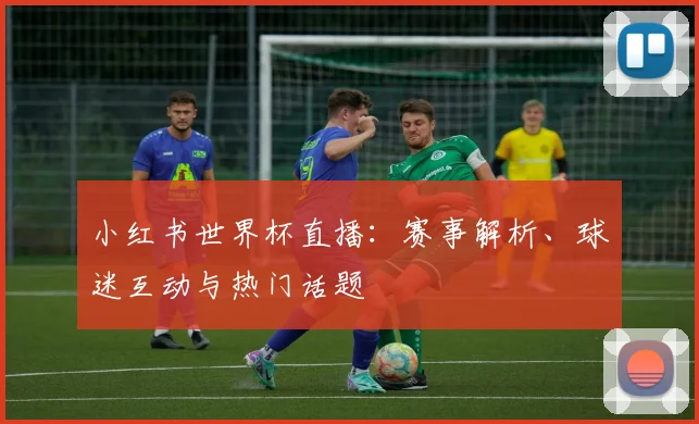 小红书世界杯直播：赛事解析、球迷互动与热门话题